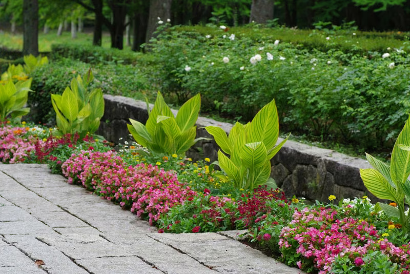 Natural stone terraced garden beds filled with pink seasonal flowers and canna lilies along a stone walkway